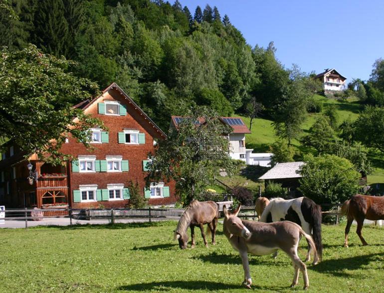 Hotel Gasthaus Schaefle Buerserberg Ngoại thất bức ảnh